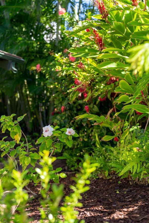 Noahs Hideaway Luxury B&B Lahaina Buitenkant foto