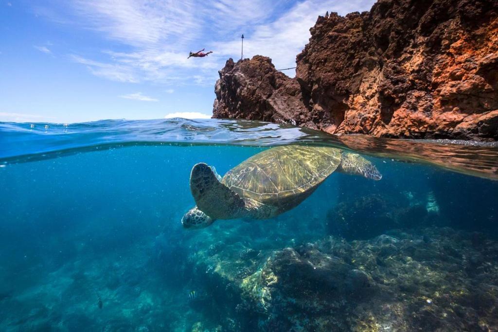 Noahs Hideaway Luxury B&B Lahaina Buitenkant foto